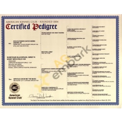 AKC Certified Pedigree