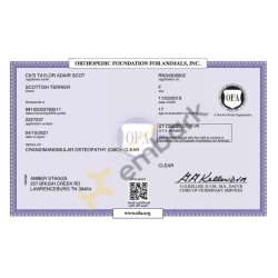 OFA CMO Certificate
