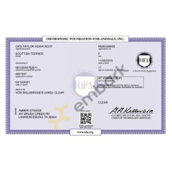 OFA vWD Certificate