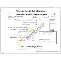 AGCA Registration