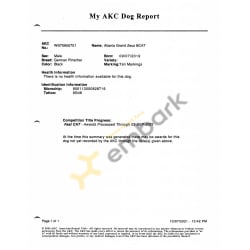 AKC Dog Report BCAT