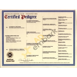 AKC Certified Pedigree