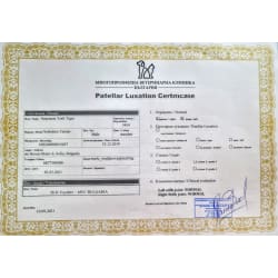 vet certificate