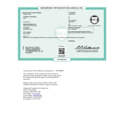 OFA  Elbow certificate 