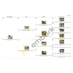 Anne Zonnehoeve Pedigree