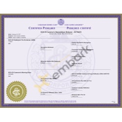 Cameron's Bannockburn Bettyann - 3-Generation Pedigree Certificate by the Canadian Kennel Club