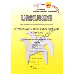 VV1 - Certificate of IRAS