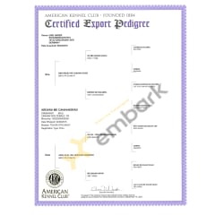 AKC Certified Export Pedigree