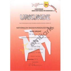 V1 - Excellent 1 - Certificate of NRAS