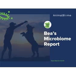 Biome analysis