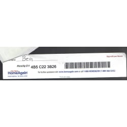 Microchip