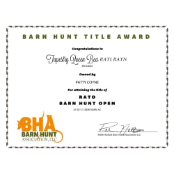 Barnhunt Open Title