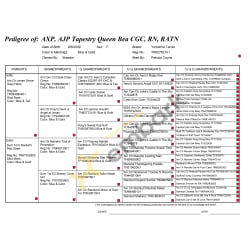 5 generation pedigree