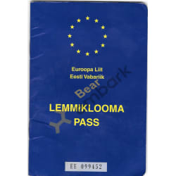 My Bears International Service Passport we obtained when living in europe in 2012 He has traveled the world with me.