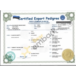 I got my Bear a Cance Corso when living in Estonia.  This is IKU Pedigree Document. & Local Estonian Kennel club 