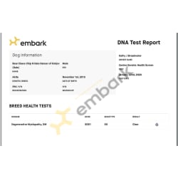 Embark DNA test for Degenerative Myelopathy results 