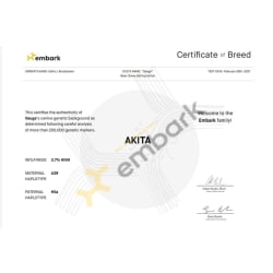 Breed certificate 