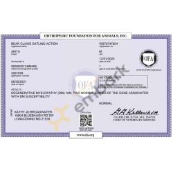 OFA Degenerative Myelopathy Certificate 