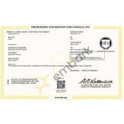 Ofa patella certificate