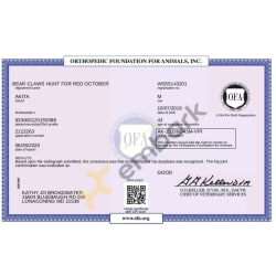 Ofa hip result certificate 