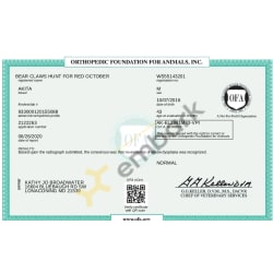 Ofa elbow result certificate 