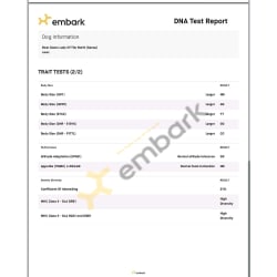 Embark DNA coat traits