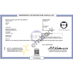 OFA Dentition Certificate 