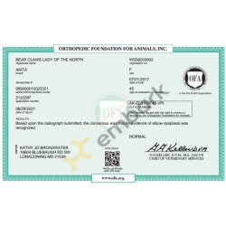 OFA Elbow result Certificate 