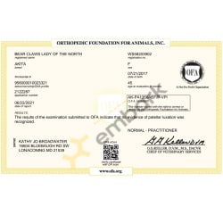 OFA Patella certificate 