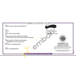 Akc registration certificate 