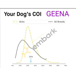 Embark COI Certificate 