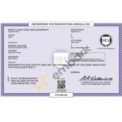 OFA Degenerative Myelopathy Certificate 