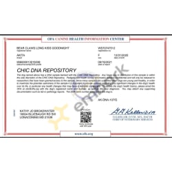 OFA CHIC Certificate 