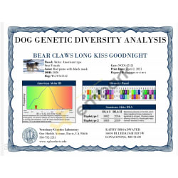 Genetic Diversity 