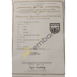 Ukc registration certificate 