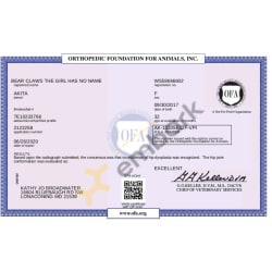Ofa hip certificate 