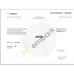 Embark breed certification 