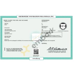 Ofa elbow certificate 