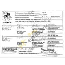 Bella's Pedigree