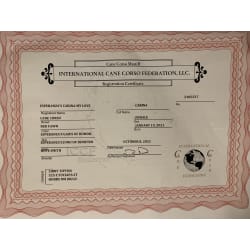 Registration Certificate 