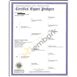 AKC Certified Export Pedigree