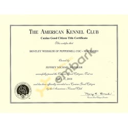 Akc cgc title hotsell