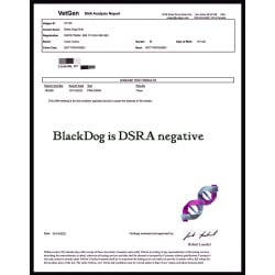 Vet Gen report finding BlackDog DSRA negative