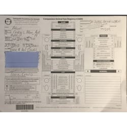 OFA - CAER  ( Normal ) - July 2020