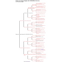 5 Generation Pedigree