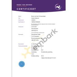 Hip Certificate