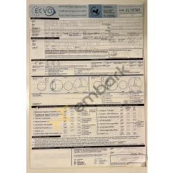 ECVO Certificate