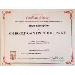 UKC Champion Certificate 