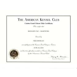 Bo's Canine Good Citizen Title Certificate