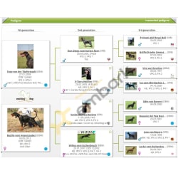 PHOTO PEDIGREE